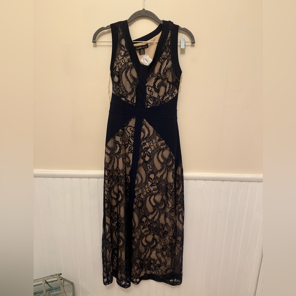 Navy and Beige Lace Dress